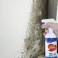 Świąteczna oferta przedsprzedaży🦠ZMYWACZ DO ŚCIAN W SPRAYU-500ML🚫