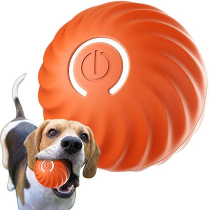 🐕🐱🐶Automatyczna inteligentna piłka do drażnienia psa