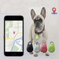 Dwukierunkowe śledzenie lokalizacji Alarm Pet Tracker （Mogą z niego korzystać ludzie, przedmioty i zwierzęta）