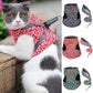 🐱Gorąca wyprzedaż 49% OFF🔥Pet Leash Anti-break Away Uprząż z paskiem na klatkę piersiową