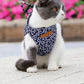 🐱Gorąca wyprzedaż 49% OFF🔥Pet Leash Anti-break Away Uprząż z paskiem na klatkę piersiową