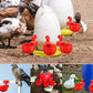 🐔 | Automatyczne Poidełko dla Kur | Niezawodne | Montaż w 3 Minuty