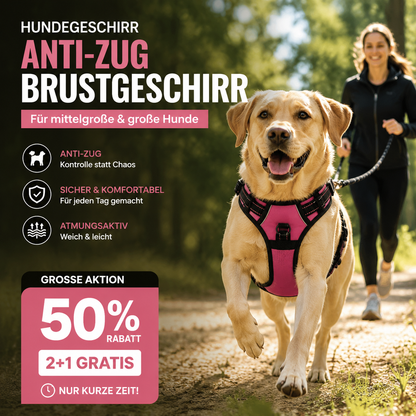 🐕 🦺 Szelki zapobiegające szarpaniu — odblaskowe, oddychające, z dwoma punktami mocowania smyczy 🌿🌿