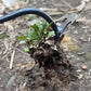 ⛏️Sprzęt do zwalczania chwastów🔥Ręczne narzędzie do pielenia w ogrodzie🌱